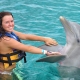 Dolphin Encounter at Maroma, Riviera Maya