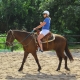 Bonanza Jungle Horseback Ride 